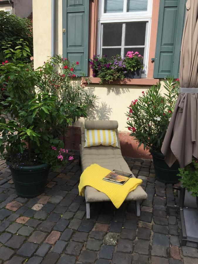Alte Schule Wachenheim Im Zellertal Apartment วาเคนไฮม์ อัน แดร์ไวน์ชตราสเซอ ภายนอก รูปภาพ
